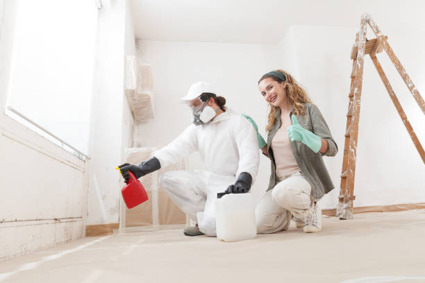 Best Attic Mold Removal  in Osceola, IN